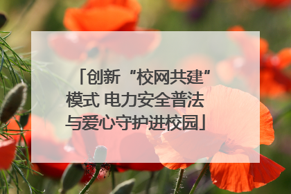 创新“校网共建”模式 电力安全普法与爱心守护进校园