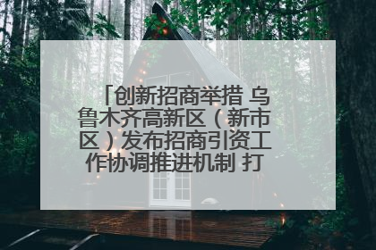 创新招商举措 乌鲁木齐高新区（新市区）发布招商引资工作协调推进机制 打造投资发展新高地