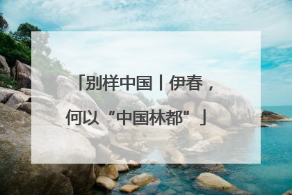 别样中国丨伊春，何以“中国林都”