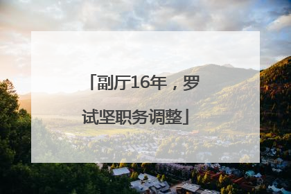 副厅16年，罗试坚职务调整