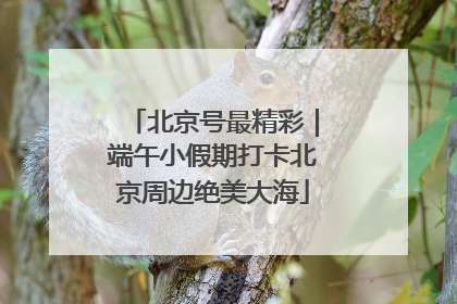 北京号最精彩｜端午小假期打卡北京周边绝美大海