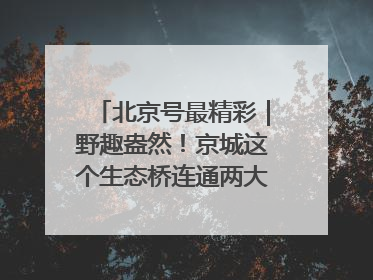北京号最精彩｜野趣盎然！京城这个生态桥连通两大网红公园