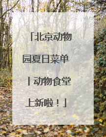 北京动物园夏日菜单丨动物食堂上新啦！