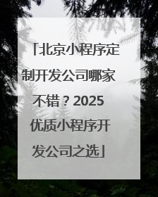 北京小程序定制开发公司哪家不错？2025 优质小程序开发公司之选