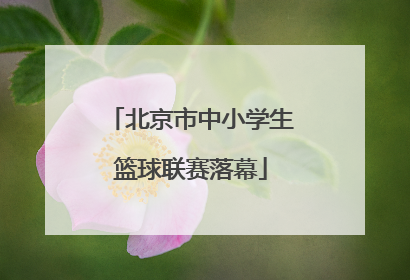 北京市中小学生篮球联赛落幕