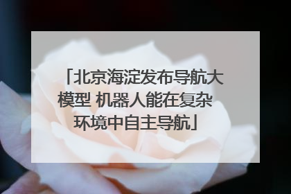 北京海淀发布导航大模型 机器人能在复杂环境中自主导航