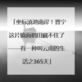 坐标滇池南岸！晋宁这片镜面稻田藏不住了——有一种叫云南的生活之365天