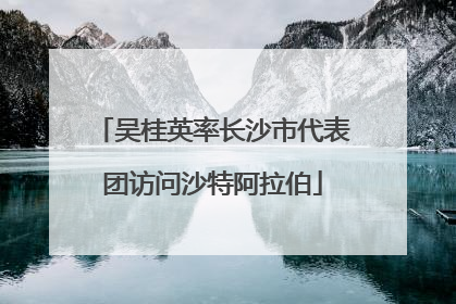 吴桂英率长沙市代表团访问沙特阿拉伯