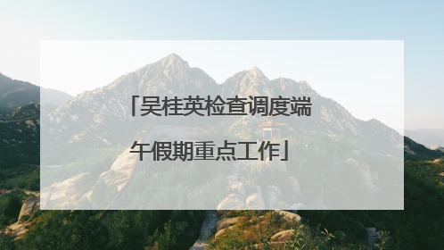 吴桂英检查调度端午假期重点工作