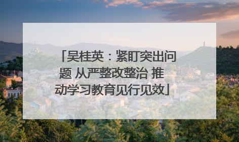 吴桂英：紧盯突出问题 从严整改整治 推动学习教育见行见效
