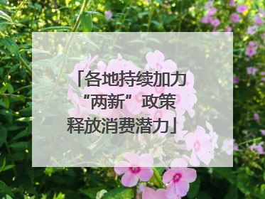 各地持续加力“两新”政策 释放消费潜力