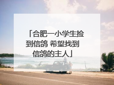 合肥一小学生捡到信鸽 希望找到信鸽的主人