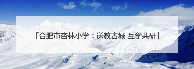 合肥市杏林小学：送教古城 互学共研