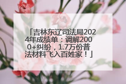 吉林东辽司法局2024年成绩单：调解2000+纠纷，1.7万份普法材料飞入百姓家！