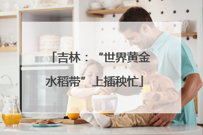 吉林：“世界黄金水稻带”上插秧忙