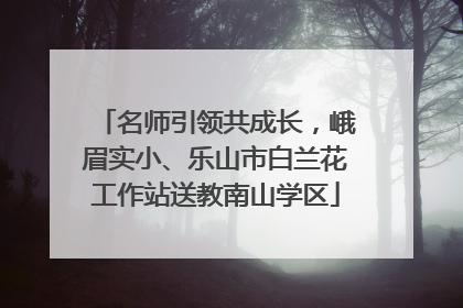 名师引领共成长，峨眉实小、乐山市白兰花工作站送教南山学区