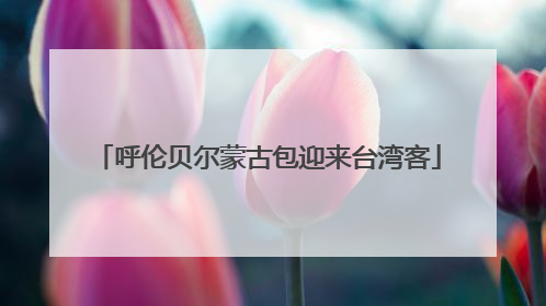 呼伦贝尔蒙古包迎来台湾客