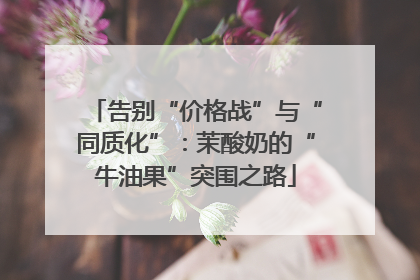 告别“价格战”与“同质化”：茉酸奶的“牛油果”突围之路
