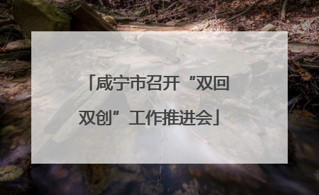 咸宁市召开“双回双创”工作推进会