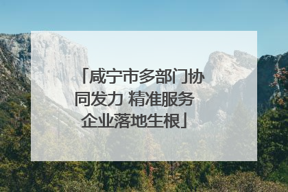 咸宁市多部门协同发力 精准服务企业落地生根