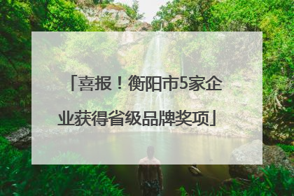喜报！衡阳市5家企业获得省级品牌奖项
