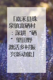 嘉禾县珠泉镇富硒村：深耕“硒”望田野 激活乡村振兴新动能