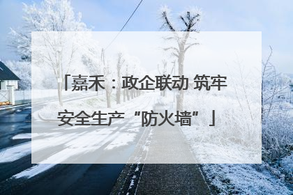 嘉禾：政企联动 筑牢安全生产“防火墙”