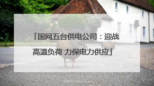 国网五台供电公司：迎战高温负荷 力保电力供应