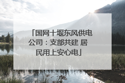 国网十堰东风供电公司：支部共建 居民用上安心电