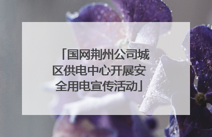 国网荆州公司城区供电中心开展安全用电宣传活动