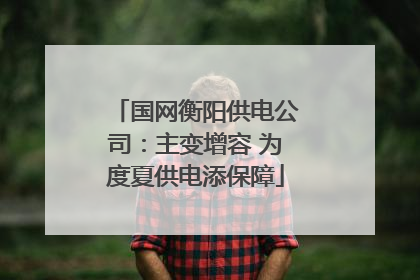 国网衡阳供电公司：主变增容 为度夏供电添保障