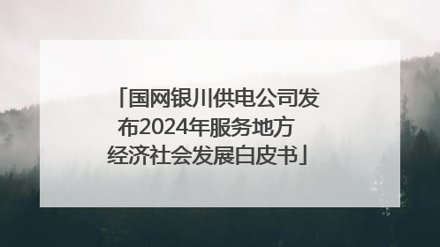 国网银川供电公司发布2024年服务地方经济社会发展白皮书