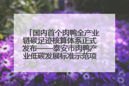 国内首个肉鸭全产业链碳足迹核算体系正式发布——泰安市肉鸭产业低碳发展标准示范项目顺利通过验收
