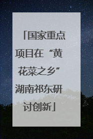 国家重点项目在“黄花菜之乡”湖南祁东研讨创新