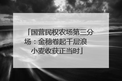 国营民权农场第三分场：金穗卷起千层浪 小麦收获正当时
