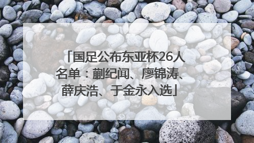 国足公布东亚杯26人名单：蒯纪闻、廖锦涛、薛庆浩、于金永入选