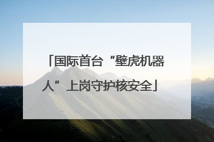 国际首台“壁虎机器人”上岗守护核安全