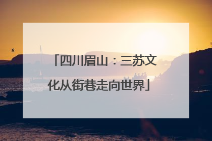 四川眉山：三苏文化从街巷走向世界