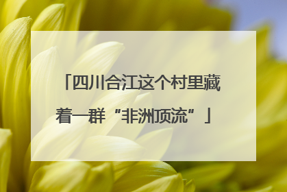 四川合江这个村里藏着一群“非洲顶流”