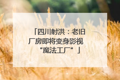 四川射洪：老旧厂房即将变身影视“魔法工厂”