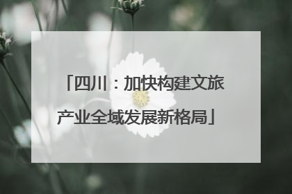 四川：加快构建文旅产业全域发展新格局