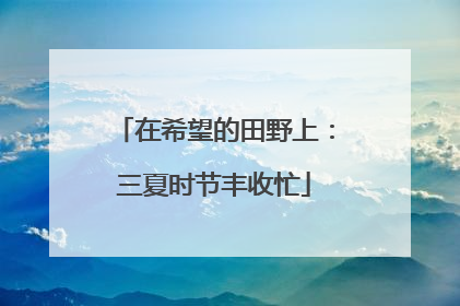 在希望的田野上：三夏时节丰收忙