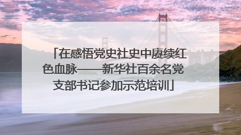 在感悟党史社史中赓续红色血脉——新华社百余名党支部书记参加示范培训