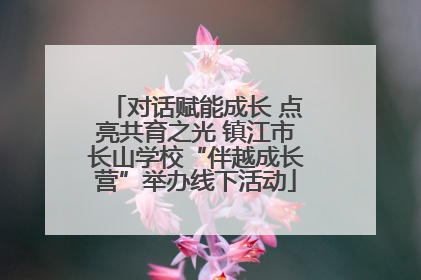 对话赋能成长 点亮共育之光 镇江市长山学校“伴越成长营”举办线下活动