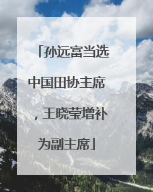 孙远富当选中国田协主席，王晓莹增补为副主席