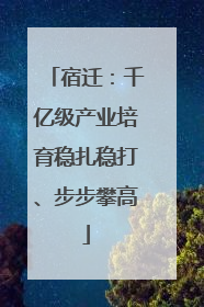 宿迁：千亿级产业培育稳扎稳打、步步攀高