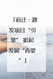 宿迁：激发项目“引擎” 挺起发展“脊梁”