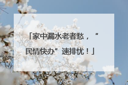 家中漏水老者愁，“民情快办”速排忧！