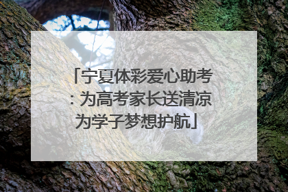 宁夏体彩爱心助考：为高考家长送清凉 为学子梦想护航