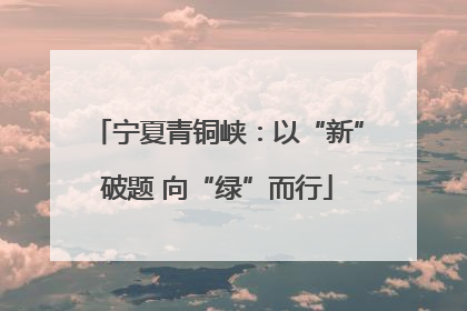 宁夏青铜峡：以“新”破题 向“绿”而行
